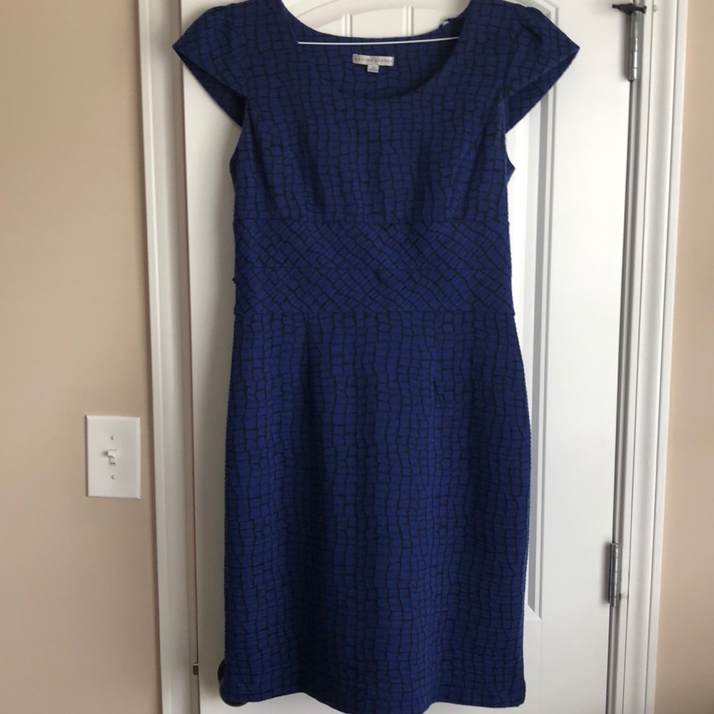 Sandra Daren cobalt blue dress